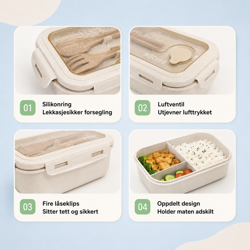 All-in-one Lunch Box